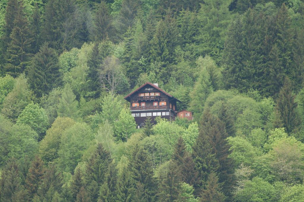 IMG_1353.JPG