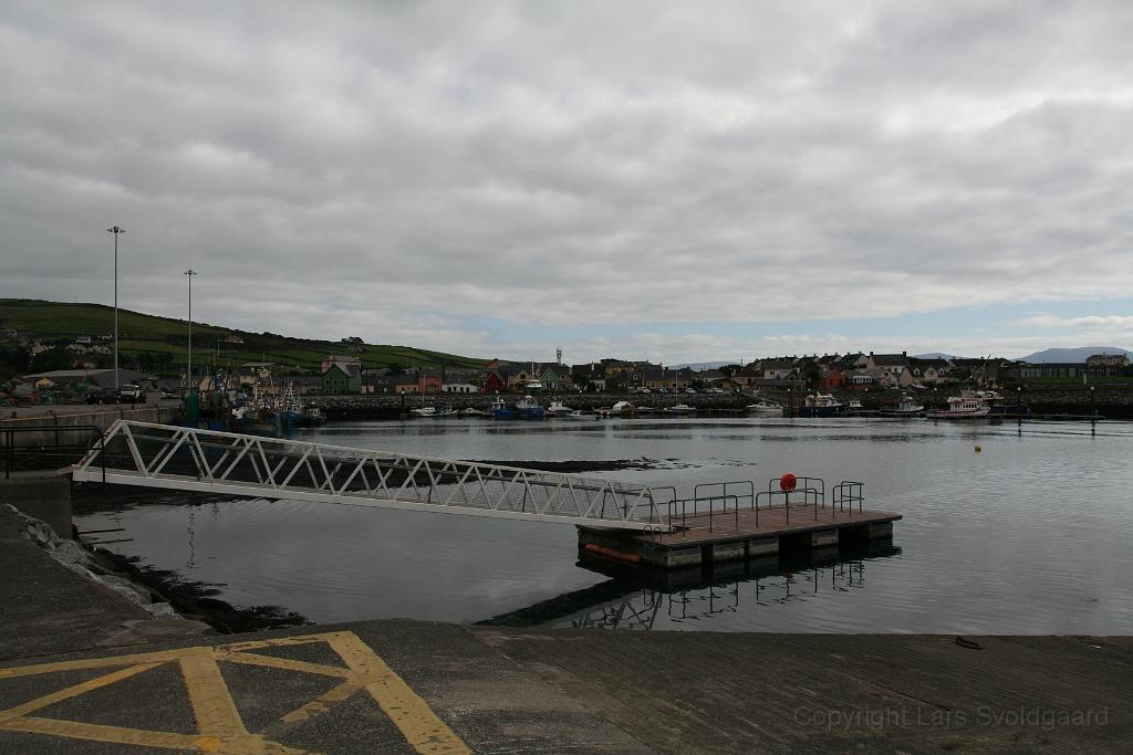 IMG_1952.JPG - Dingle harbour