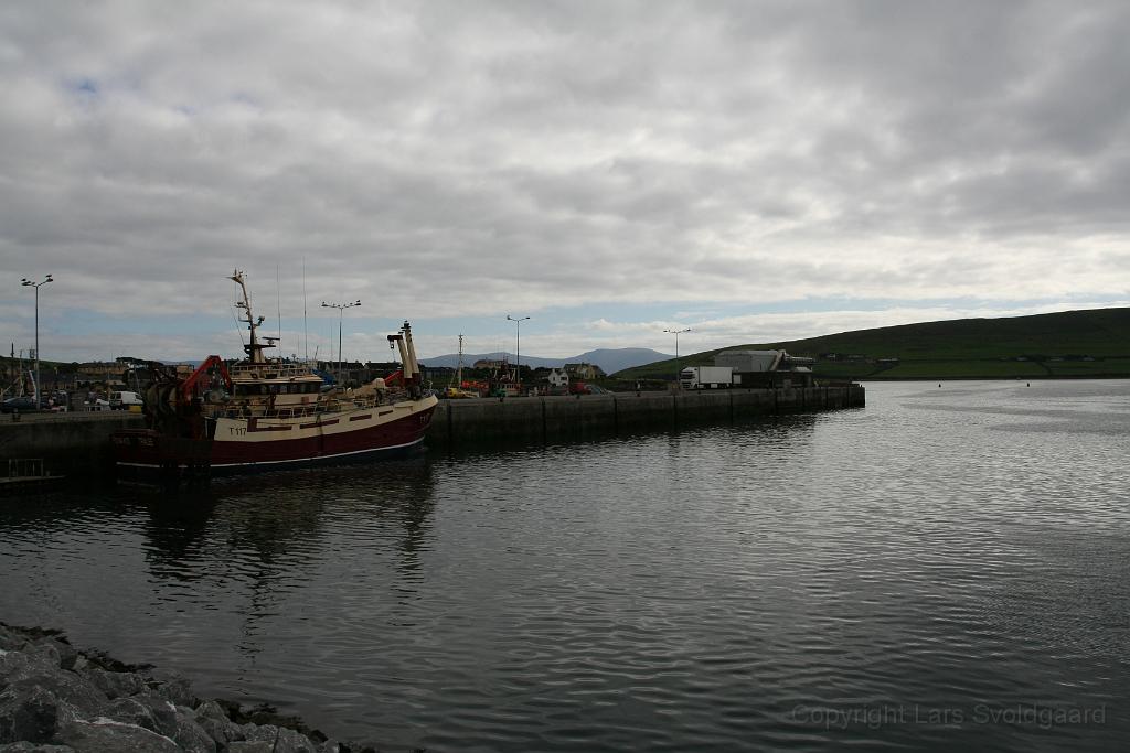 IMG_1957.JPG - Dingle harbour