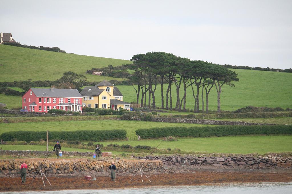 IMG_2106.JPG - View from a Dingle tourboat