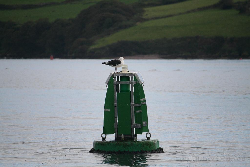 IMG_2112.JPG - View from a Dingle tourboat