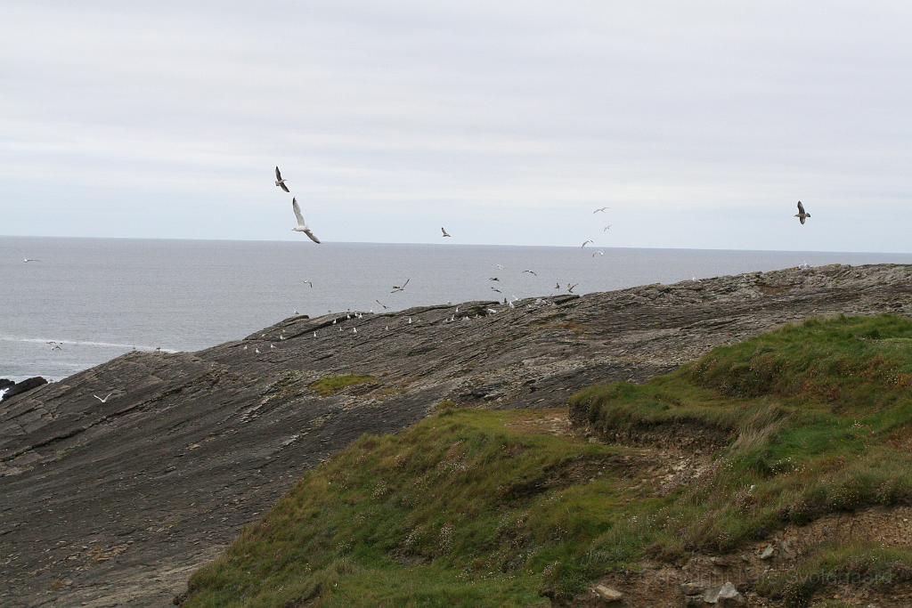 IMG_2286.JPG - The cliffs south of Kilkee
