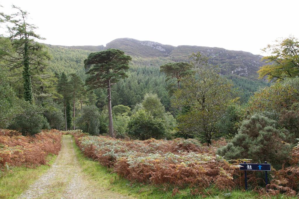 IMG_2466.JPG - Killarney National Park
