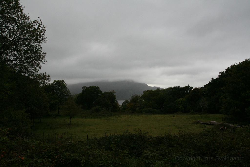 IMG_2540.JPG - Killarney National Park