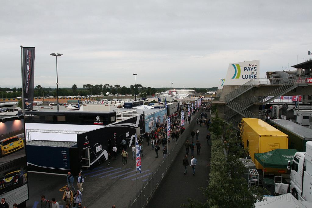 IMG_0195.JPG - The paddock