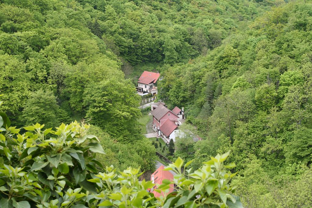 IMG_9576.JPG