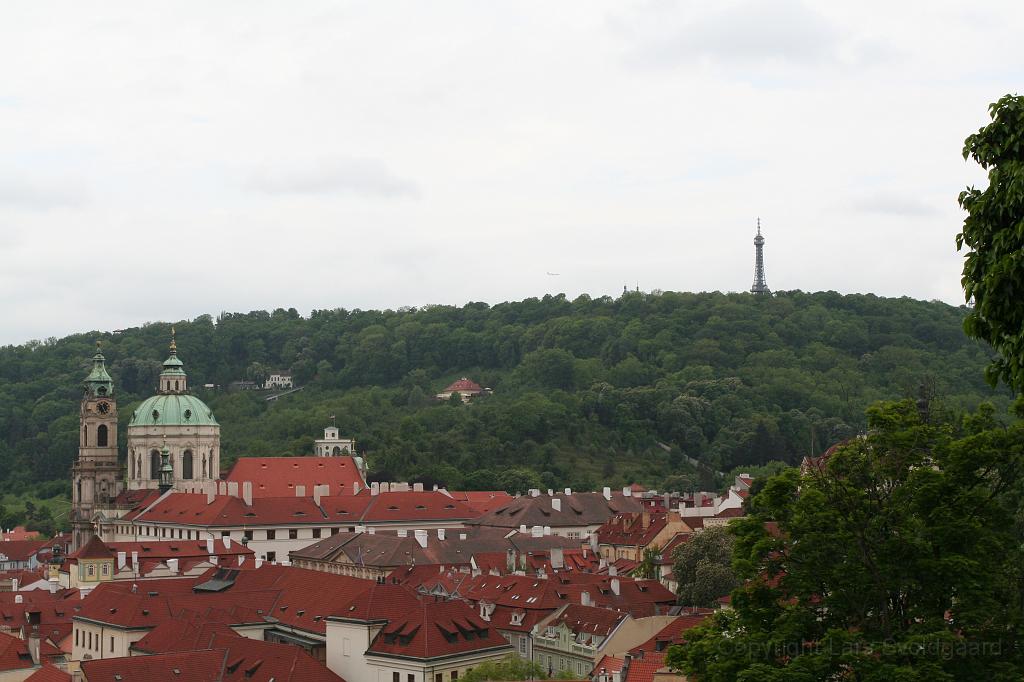 IMG_9784.JPG