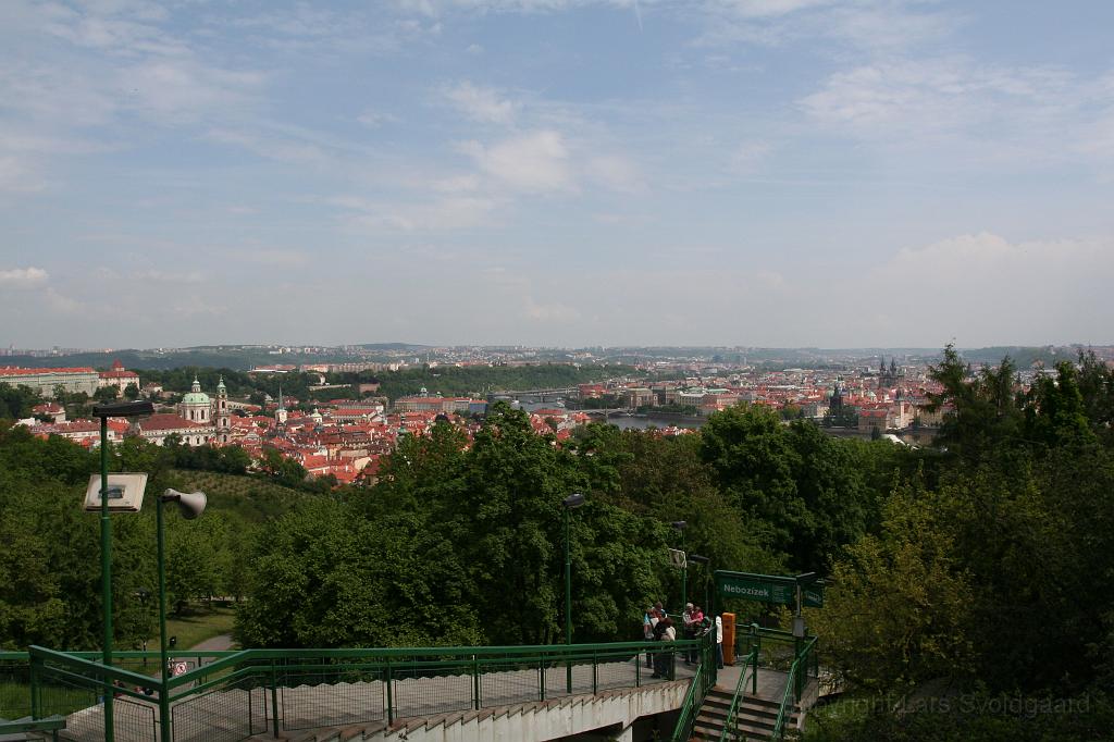 IMG_9926.JPG
