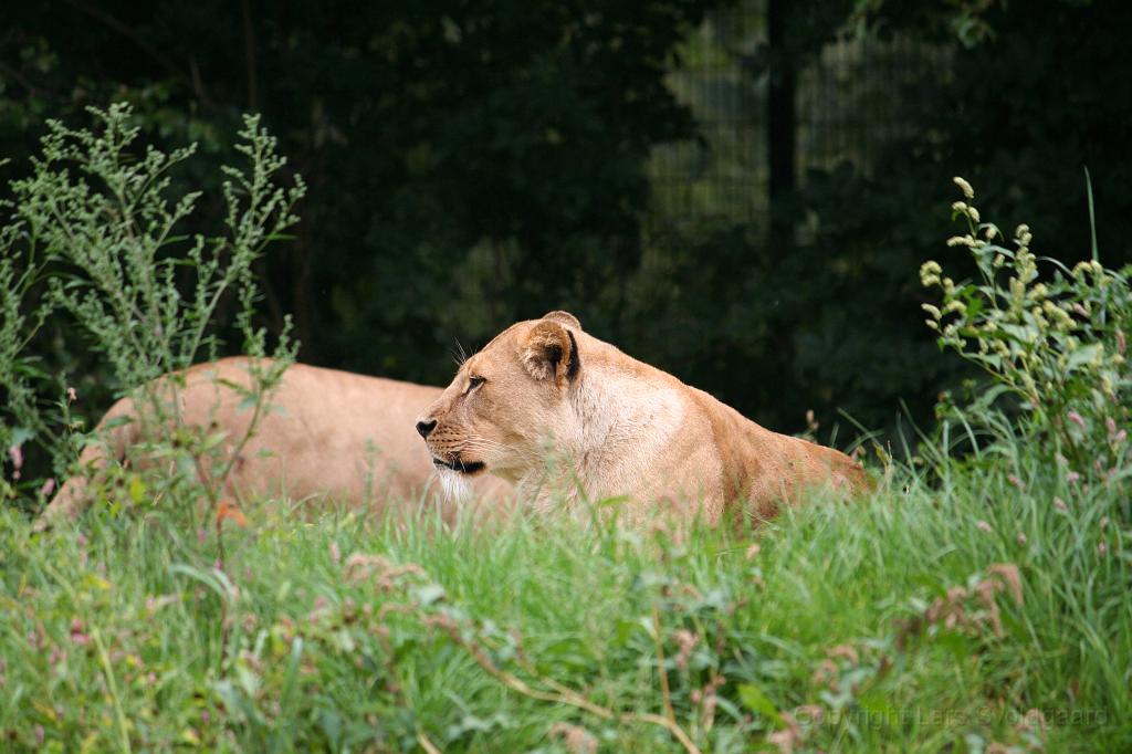 IMG_8849.JPG
